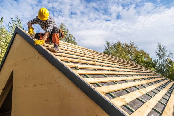 Best Roof Gutter Cleaning  in Portland, TN